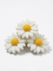 Набір ароматичний Daisy Petals Collection  19032026 фото 2